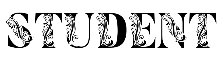 Flower Display Demo Regular  Free Fonts Download