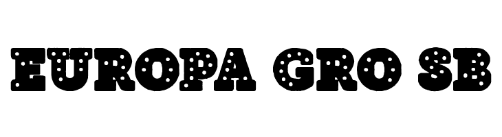 Neon Lights of Sin City  Free Fonts Download