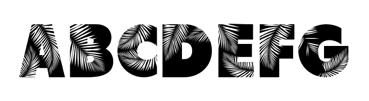 Palm Leaf Demo Regular  Free Fonts Download