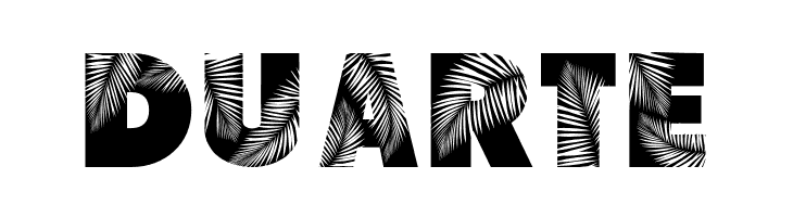 Palm Leaf Demo Regular  Free Fonts Download