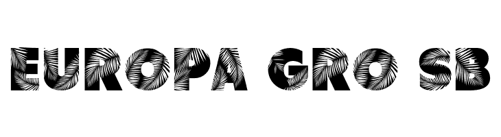 Palm Leaf Demo Regular  Free Fonts Download