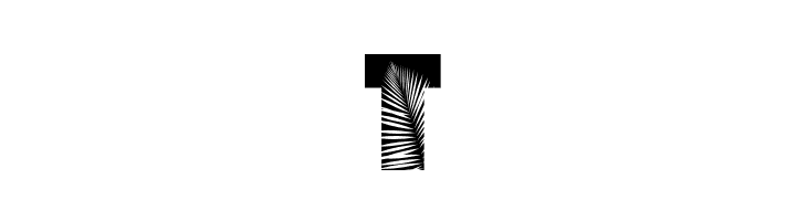 Palm Leaf Demo Regular  Free Fonts Download
