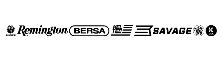 2nd Amendment Brands  Free Fonts Download