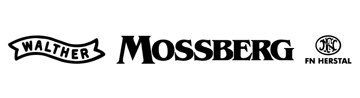 2nd Amendment Brands  Free Fonts Download