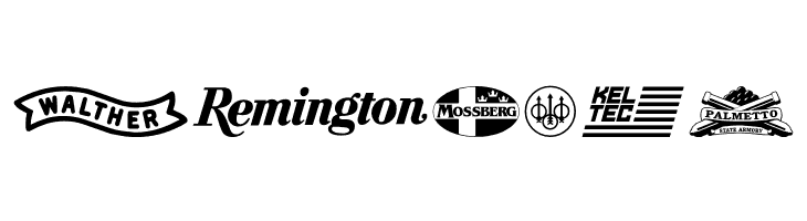 2nd Amendment Brands  Free Fonts Download