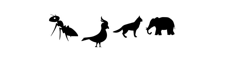 Animal Y Fobt Regular  Free Fonts Download