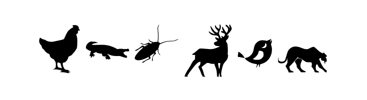 Animal Y Fobt Regular  Free Fonts Download