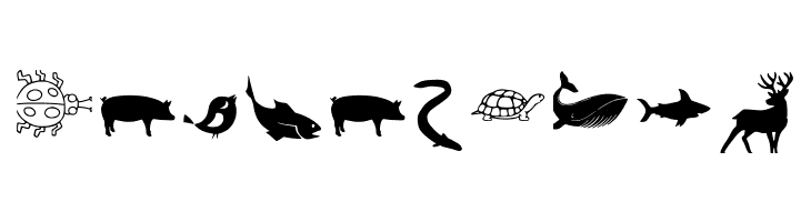 Animal Y Fobt Regular  Free Fonts Download