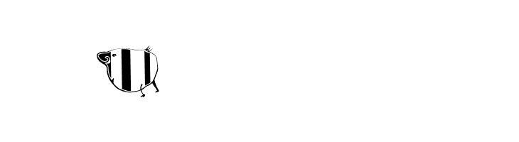 Animasyon Regular  Free Fonts Download