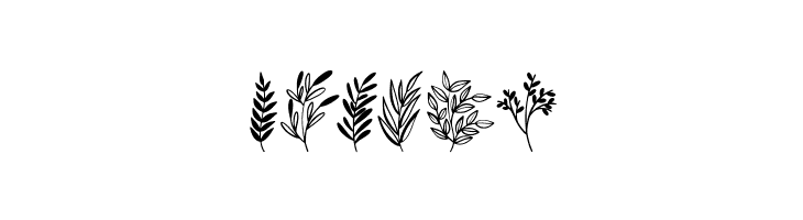 Wildplants  Free Fonts Download