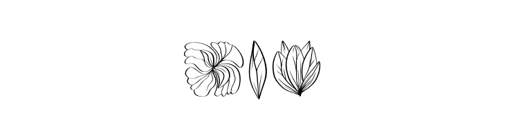 Floriella  Free Fonts Download