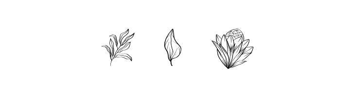 Floriella  Free Fonts Download