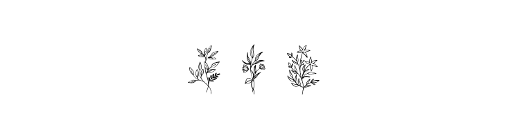 Bloem  Free Fonts Download