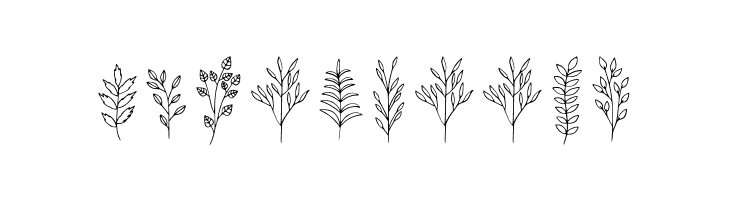 Falline  Free Fonts Download