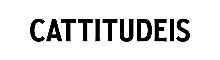 Golden Record PERSONAL Regular  Free Fonts Download