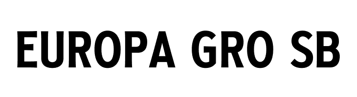 Golden Record PERSONAL Regular  Free Fonts Download