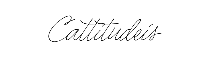 Caneta Script PERSONAL USE Thin  Free Fonts Download