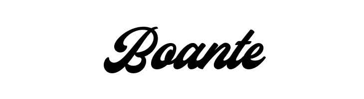 Capitaly Script PERSONAL USE Regular  Free Fonts Download
