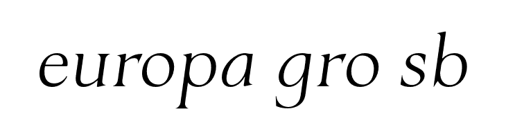 Ristorante Serif PERSONAL USE Italic  Free Fonts Download