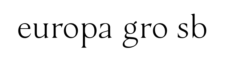 Ristorante Serif PERSONAL USE Regular  Free Fonts Download