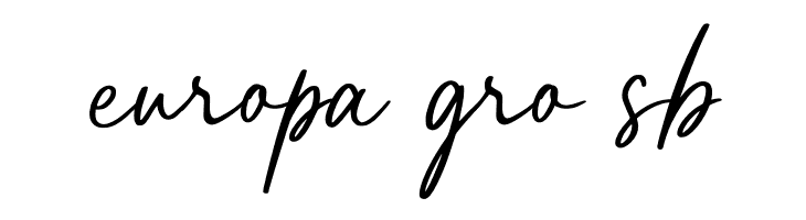 Bachelorette PERSONAL USE ONLY Regular  Free Fonts Download