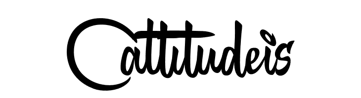 Juicebox Script PERSONAL USE Regular  Free Fonts Download