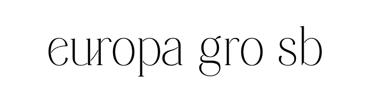 Windstone Serif PERSONAL USE Regular  Free Fonts Download