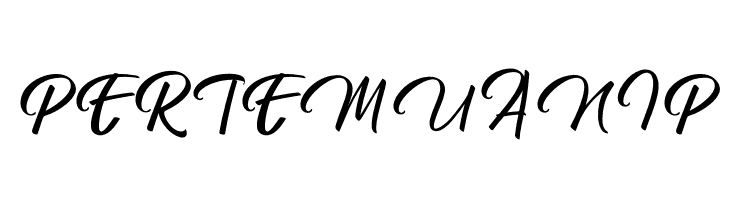 Blestive Script PERSONAL USE Regular  Free Fonts Download
