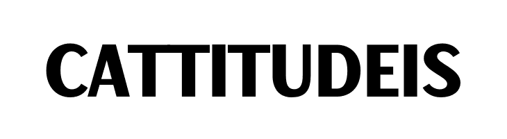 Decary Sans Bold PERSONAL USE Regular  Free Fonts Download