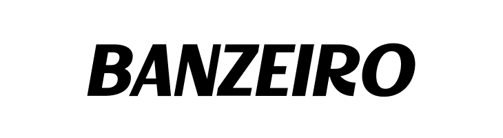 Decary Sans BoldIt PERSONAL USE Regular  Free Fonts Download