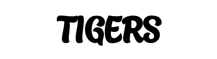 Bronkey PERSONAL USE ONLY Bold  Free Fonts Download