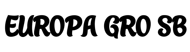 Bronkey PERSONAL USE ONLY Bold  Free Fonts Download