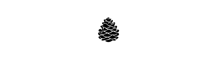 Magical Nordic Symbols PERSON Regular  Free Fonts Download