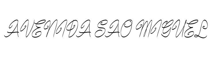 Bundey Script PERSONAL USE Bold Italic  Free Fonts Download