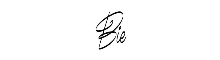 Bundey Script PERSONAL USE Bold Italic  Free Fonts Download