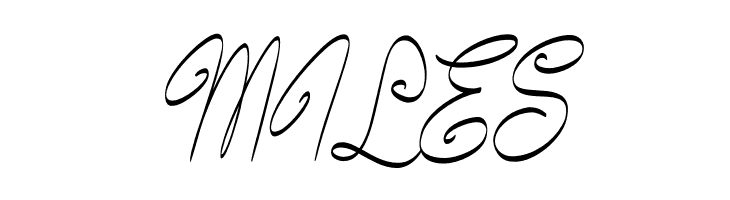 Bundey Script PERSONAL USE Bold Italic  Free Fonts Download