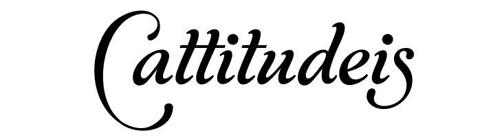 World Discovery Five PERSONAL Regular  Free Fonts Download