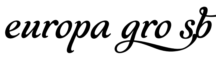 World Discovery Four PERSONAL Regular  Free Fonts Download