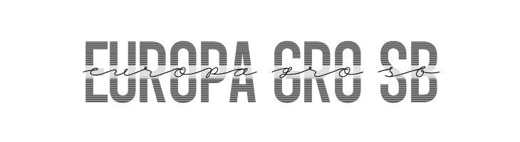 Workforce Scale PERSONAL USE Regular  Free Fonts Download