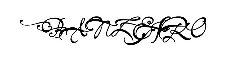 Bonspire Swash PERSONAL Regular  Free Fonts Download