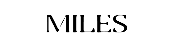 SA Granada  Free Fonts Download