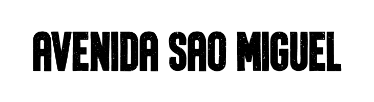 Roamer Bold  Free Fonts Download