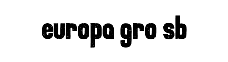 Roamer Bold  Free Fonts Download