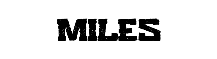 Ambivert  Free Fonts Download