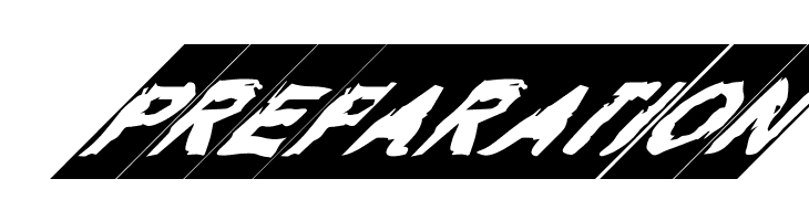 Typepunk Bold Italic  Free Fonts Download