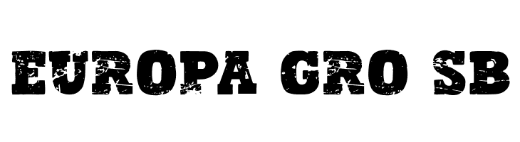Sunday Sport  Free Fonts Download