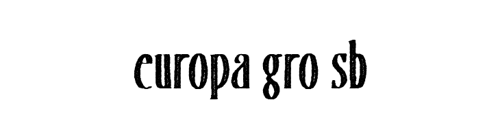 MerchandePrintSerif-Rough  Free Fonts Download