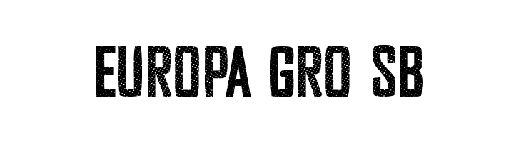 Security Company  Free Fonts Download