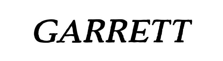 Backzone DEMO Bold Italic  Free Fonts Download