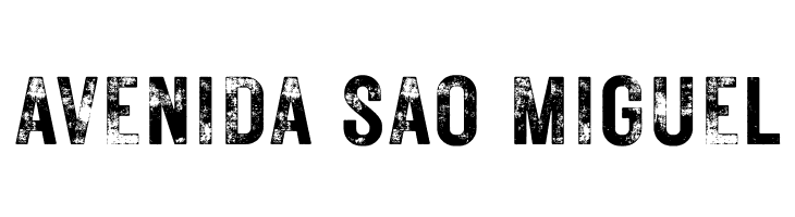 RusticPrinted-Demo  Free Fonts Download